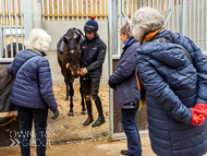 BP240223-84 - Owners looking around the stables